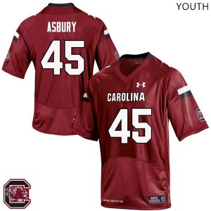 Youth South Carolina Gamecocks #45 Ben Asbury Red High School Jersey 337221-102
