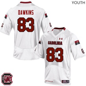 Youth South Carolina #83 Chavis Dawkins White Player Jersey 488453-112
